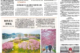 “国补”给力 平潭3C数码产品购销两旺图片