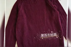 简单款女士插肩圆领毛衣，附详细教程图片
