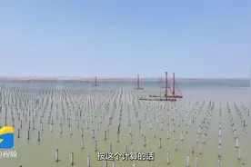 大海变“森林”！国内首个立体分层确权光伏用海项目滨州沾化新进展 整体打桩预计6月底完成图片