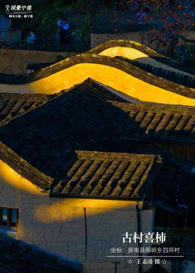 走！去屏南！这些柿子打卡点请收好→