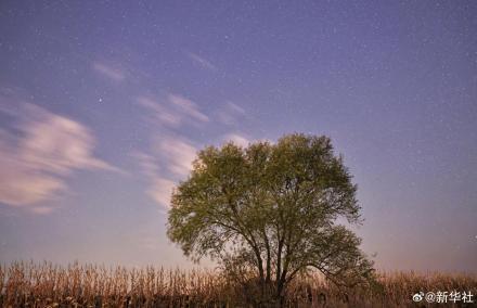 黑龙江秋夜星空静谧壮丽