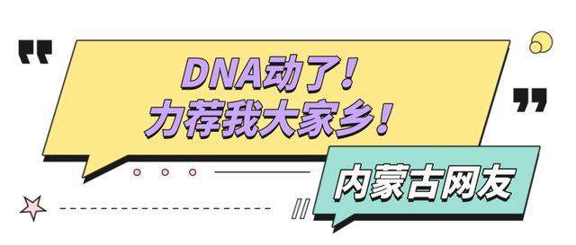 央妈背书全网发布！一条片子就让全国游客争着要来呼和浩特，太震撼了！