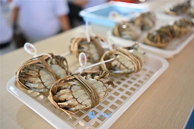宿迁观察丨京东与宿迁的“双向奔赴”