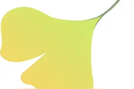 蝴蝶、玫瑰和飞机……银杏叶有几种创意玩法？图片