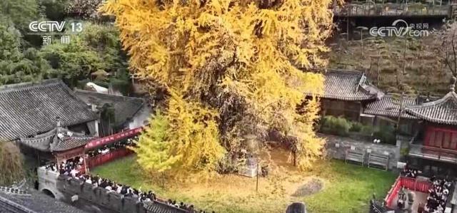 特色赏秋游热潮澎湃 “文旅+”新场景新业态激发“秋日经济”活力
