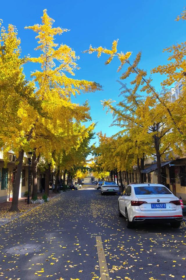 此刻！石臼街道的美景！