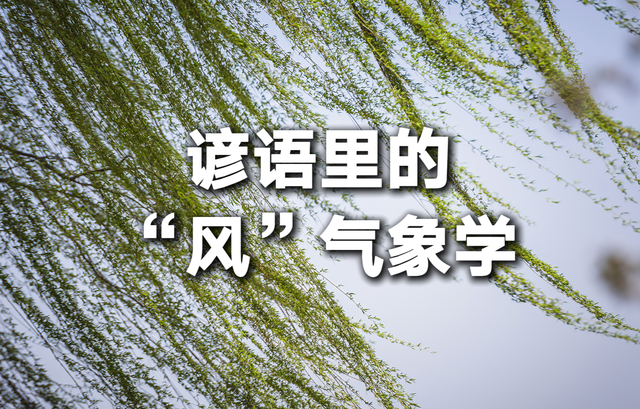 含有风和雨的俗语（谚语里的风气象学）