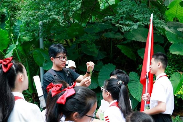 恰‘桥’遇见你——福山郊野公园生物多样性科普中心“全国科普月”科普研学活动回顾