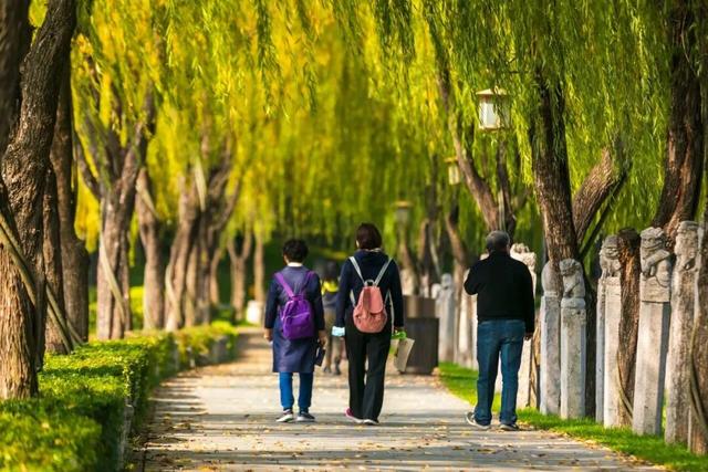 秋风引路入曲江，芙蓉金叶映红墙