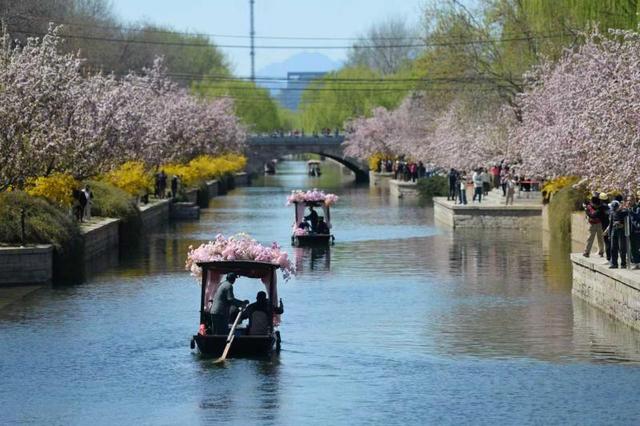 稳居全市第一！北京朝阳公园绿地面积达6500余公顷