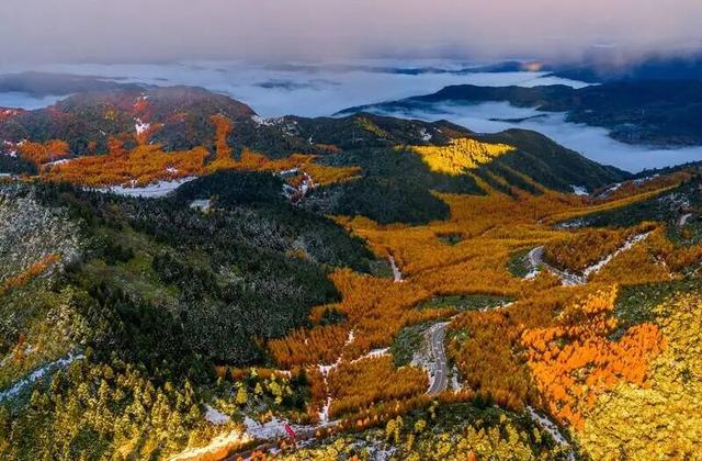 冬季暖阳 凉山不凉 | 彩林与暖阳的双向奔赴