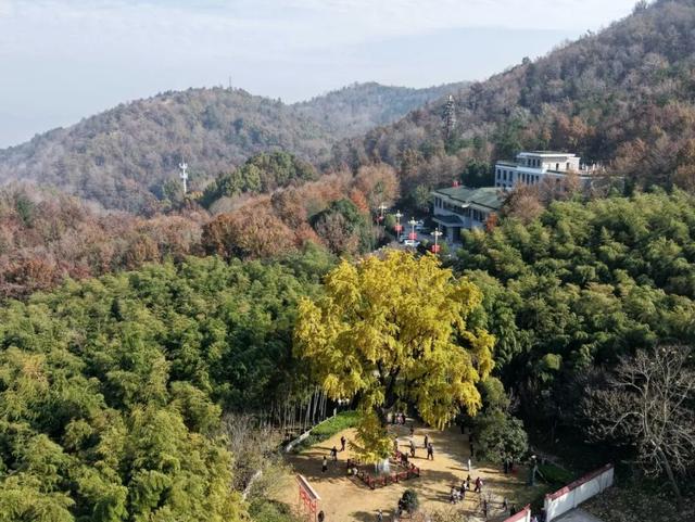 刷屏了巢湖这里，美了600年