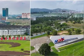 “两国双园”！漂洋过海来看你图片