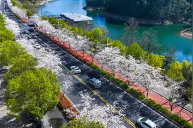 大回暖！全国多地将冲击30℃ 浙江好天气延续图片