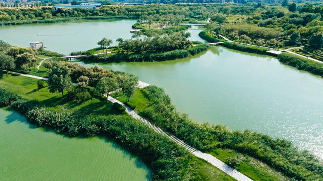 济宁秋笺-吉祥湖湿地公园