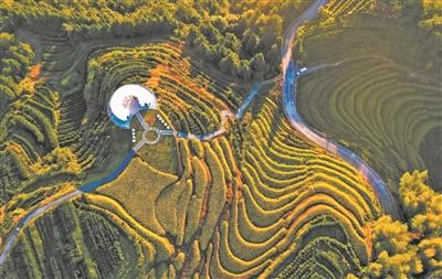 “柘”里风景独好