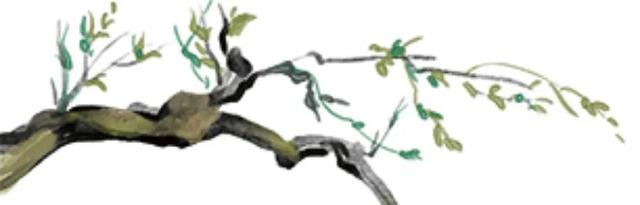 来漾濞的十个理由！每个都很好……