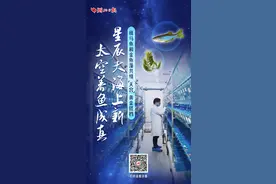 今日好稿丨星辰大海上新 太空养鱼成真图片
