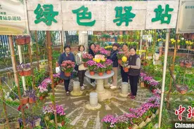 武汉绿色驿站进社区 居民共享生态家园图片