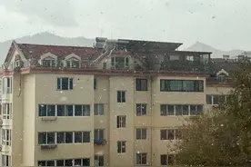 图集|纷纷扬扬，如约而至！烟台市区迎来今冬初雪图片
