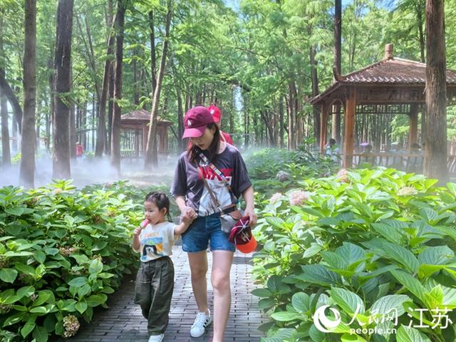 奔着“苏超”来 却被兴化圈粉