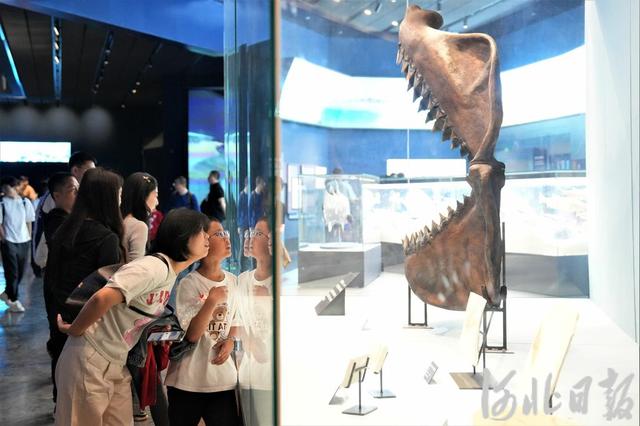 假期不宅家丨博物馆里有什么？这些神奇“宝藏”，等你探秘→