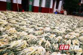 黄熊飞 ｜宁乡食品美味多图片