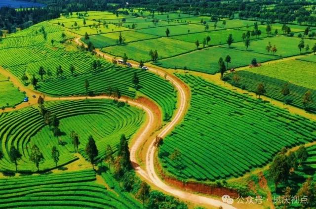 临沧凤庆上榜《纽约时报》2026年“52个最值得去的地方”