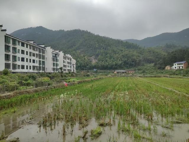 新华走笔丨醒来的大山