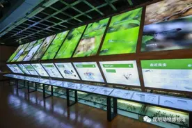 昆明动物博物馆：元旦假期正常开放，门票价格调整图片
