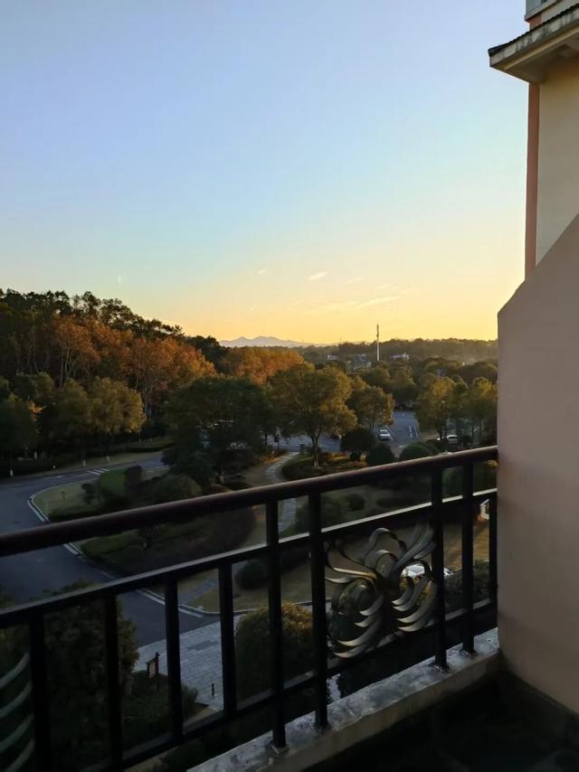 湖南绝美银杏打卡地，太出片了