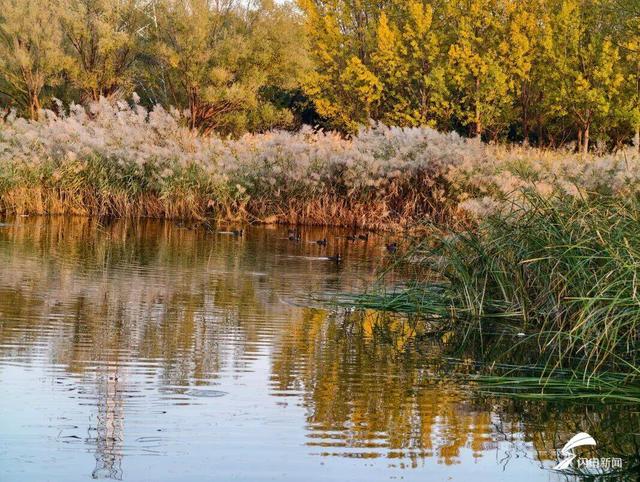 潍坊经济开发区：一场与色彩的浪漫邂逅