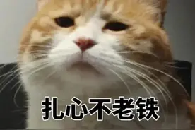 周杰伦演唱会攻略又来啦！公共停车场停车信息看过来图片