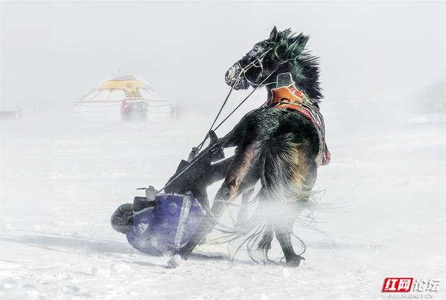 跟着网友游内蒙古丨雪线之上，生活如歌
