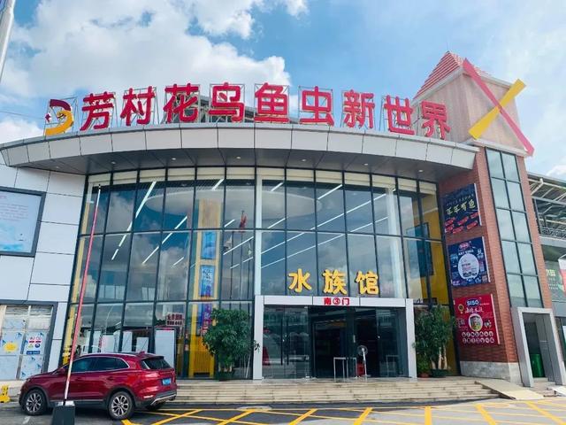 广州花胶批发市场在哪里 2026年广州最大的花胶批发市场