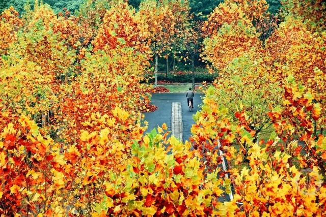 初冬景色 斑斓如画