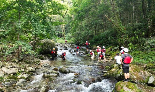 追光丨火爆！我国超4亿人玩户外，都在玩啥？