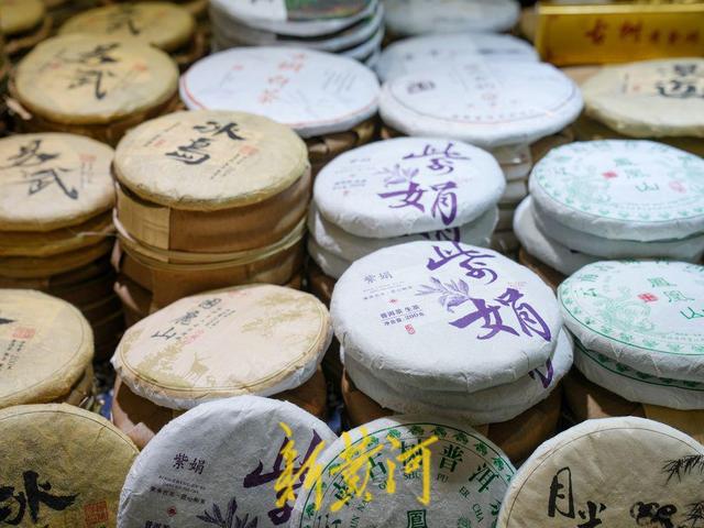 茶香四溢满泉城！2025中国（济南）“泉·茶”国际文化艺术周开启沉浸式文化体验