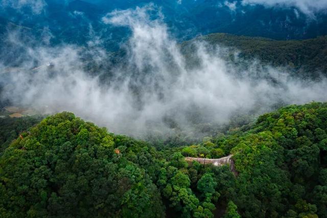 航旅融合 | 下一站三明！航旅同行，解锁藏在山水美食间的“独家惊喜”！