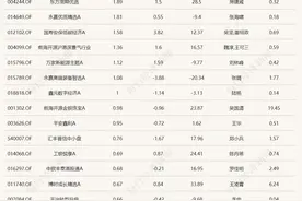 年内表现最好的基金，今天纷纷登上涨幅榜！最多的涨超33%图片