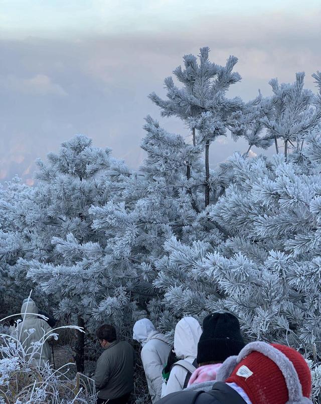 去临安太子尖看云海雾凇，出发前先查查“临安旅游天气通”小程序