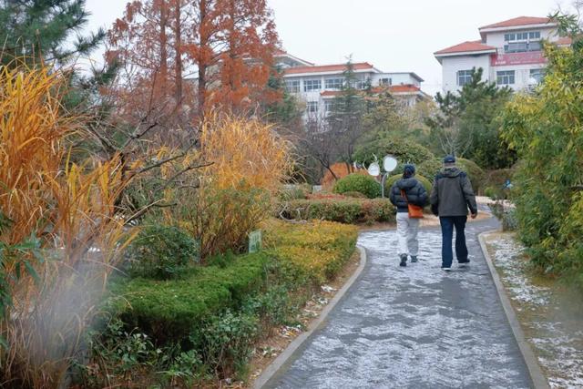 威海的冬日浪漫，从第一场雪开始