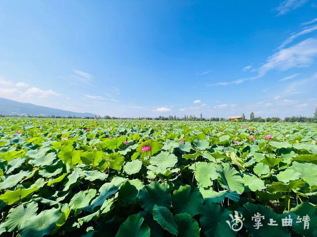 滇超冬季限定福利突袭！曲靖这波操作太圈粉～