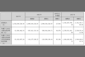 华英农业：2023年营收破37亿元，净利润大幅减亏图片