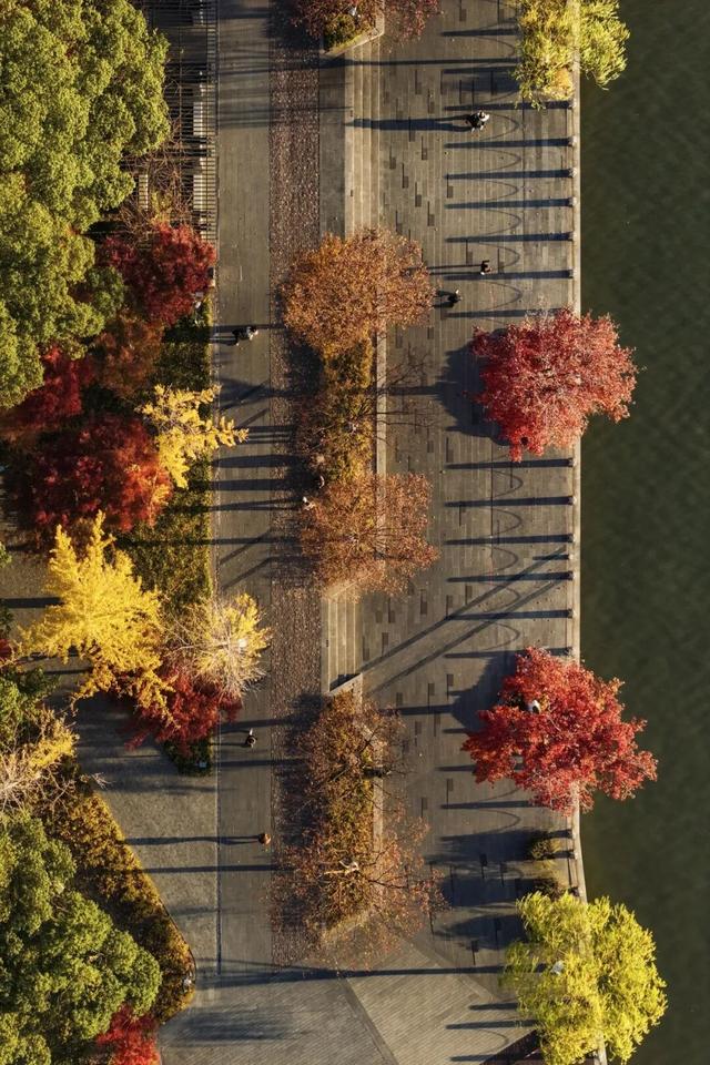 美翻了！南湖，正是红橙黄绿时