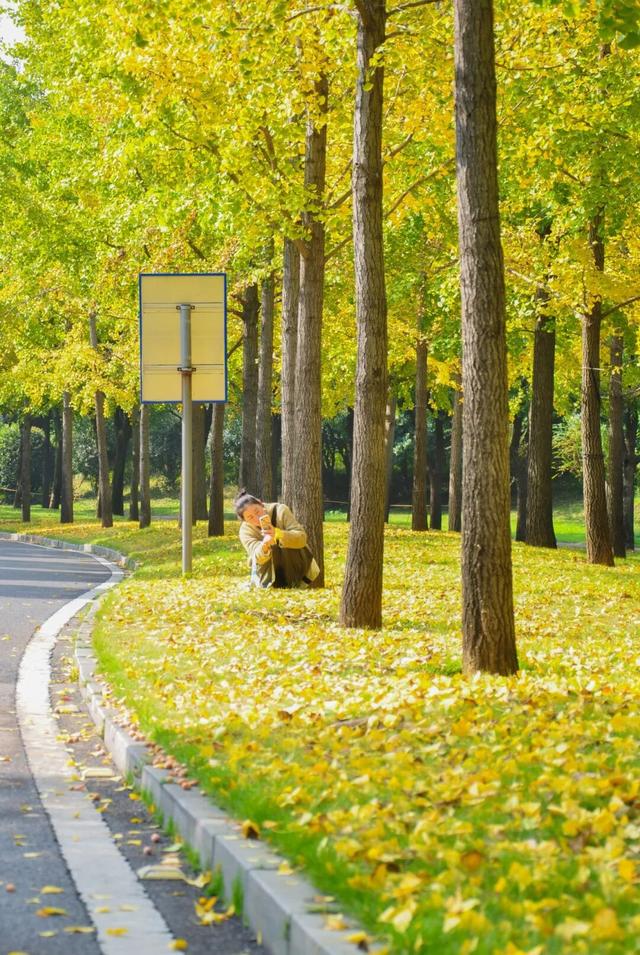 错过真的要等一年！光谷赏秋红橙黄橘绿正当时！