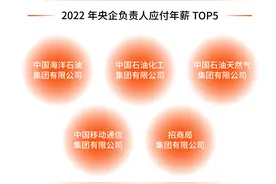 一图看96家央企高管工资条：超八成年入60万-100万图片