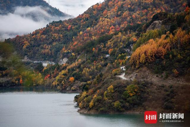 最佳观赏季来了 在红叶彩林间追逐初冬浪漫 | 图集