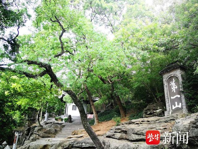 【图集】大美江苏！穿越森林秘境，漫步郊野公园，沉浸式感受"绿色动脉"