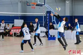 “小排球”之花在古城冬日中绽放图片